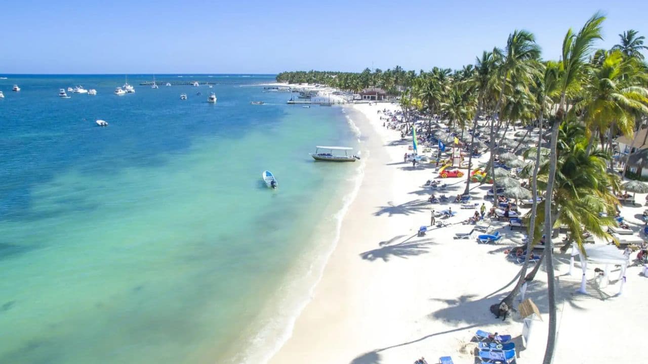 Explorez l'expérience : Tours de Punta Cana à l'île Saona - Photo 3 (Gallery view)