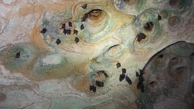 From San Juan: Cave of the Taino Indian Trek and Beach Tour