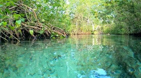 Playa Rincon Safari Adventure from Samaná special - Photo 3 (Gallery view)