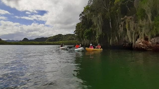 Punta Cana: Los Haitises National Park Hiking and Kayaking