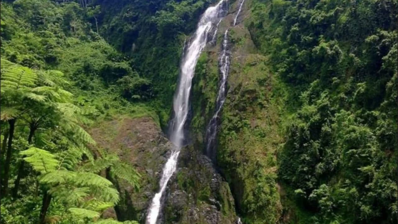 Salto de la Jalda – Horseback & Hiking Adventure From Miches