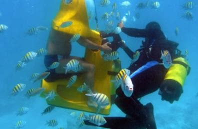 Punta Cana: Scoba Doo Discover the Underwater Wonders