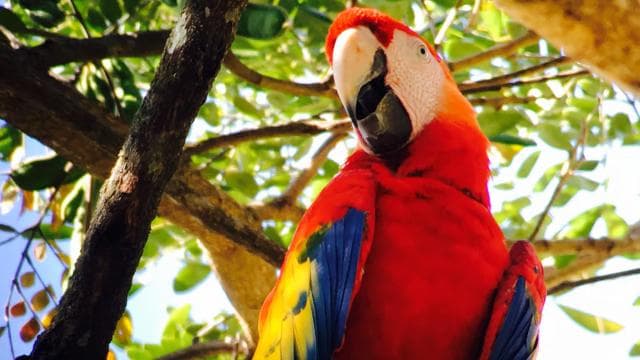 Private Manuel Antonio National Park - Photo 3 (Gallery view)