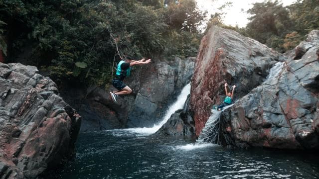 San Juan: El Yunque and Bio Bay Full-Day Tour with Transport - Photo 5 (Gallery view)