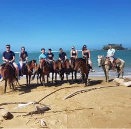 Puerto Plata: vwayaj cheval - Photo 5 (Gallery view)