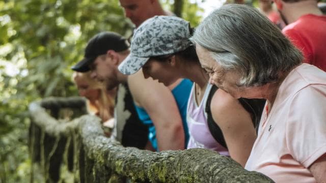 Fortuna Arenal : Poduri suspendate din Pădurea Tropicală Arenal - Photo 2 (Gallery view)