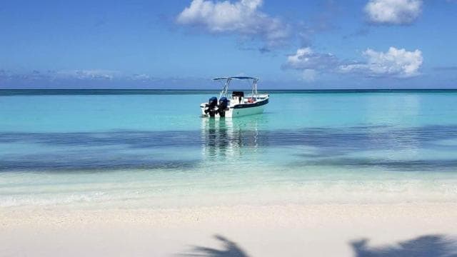 Santo Domingo to Saona: A Tropical Adventure