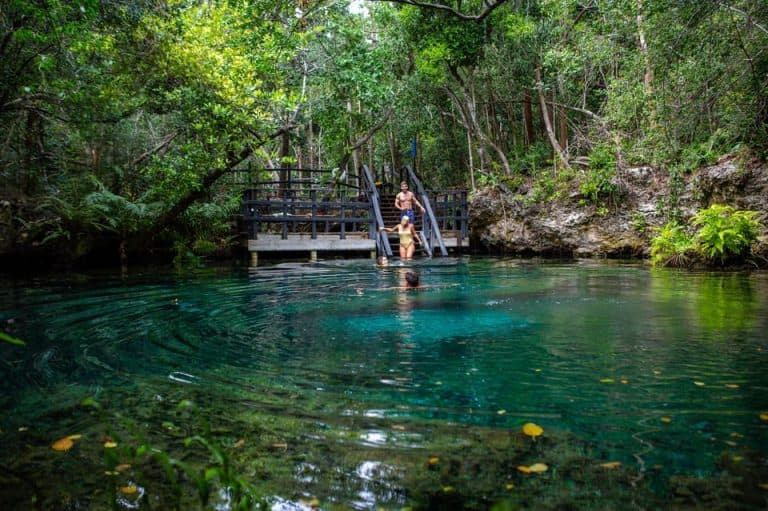 Swim in the Cenotes Ojos Indígenas - Photo 3 (Gallery view)