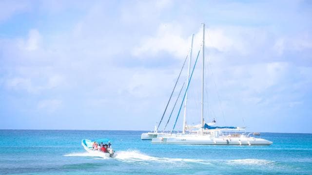 From Punta Cana: Saona Island Trip via Speedboat with Lunch
