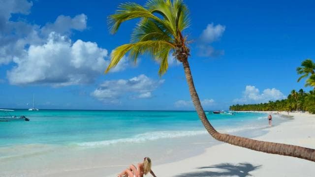 From Punta Cana: Saona Island Full-Day Tour - Photo 3 (Gallery view)