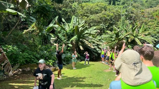 El Yunque Rainforest Waterslides and Beach Tour & Transport