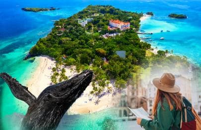 Whale Watching + Cayo Levantado - Photo 4 (Gallery view)