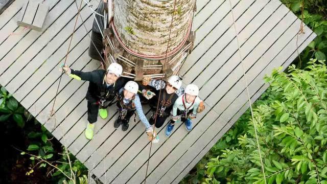 Jaco Beach: Zip Line Canopy Tour