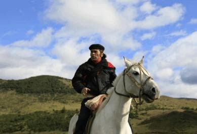 From Samaná: El Limón Waterfall Horseback Ride with Lunch - Dominican Republic