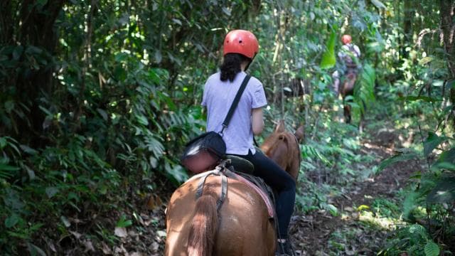 La Fortuna: Horseback Ride La Fortuna Waterfall w/Pick-up
