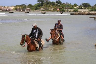 Équitation sur la plage et dans la campagne - Photo 3 (Gallery view)