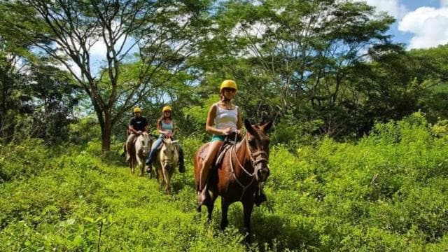 Jaco: Rainforest Horseback Ride to El Encanto Waterfall
