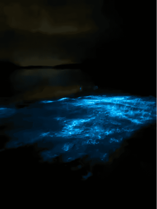 Transparentes Kanu in der Biolumineszenzbucht in Vieques - Photo 3 (Gallery view)