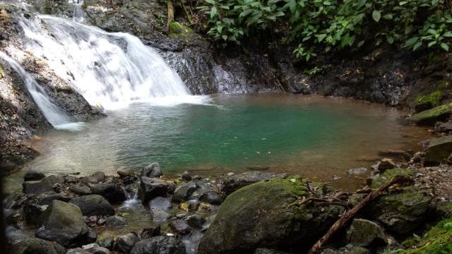 Jaco Beach: 10 Hidden Waterfalls Guided Experience