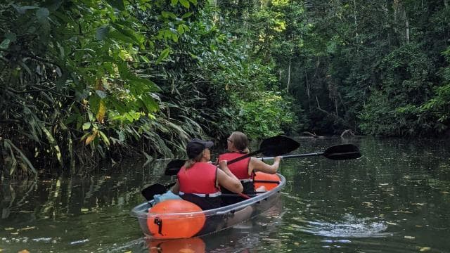 Punta Uva: Clear Kayak Tour with Jungle and Sea Views