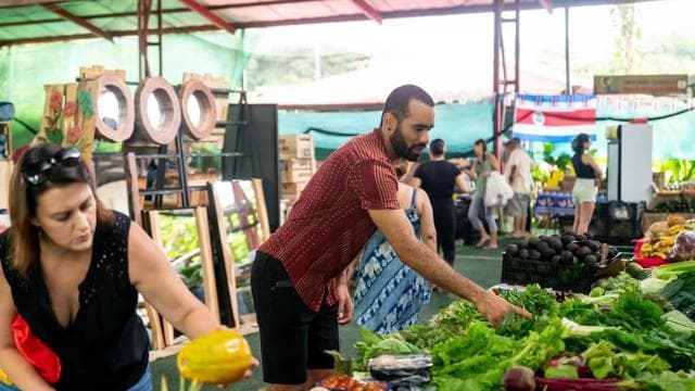 Costa Rica: Farmers Market Tour with a Local