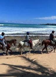 Punta Cana: Tur ghidat de călare pe plaje și câmpuri - Photo 5 (Gallery view)