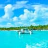 From Punta Cana: Isla Saona Full-Day Tour with Buffet Lunch