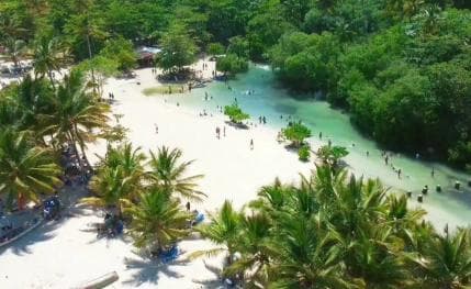 Playa Rincon Safari Adventure from Samaná special - Photo 4 (Gallery view)