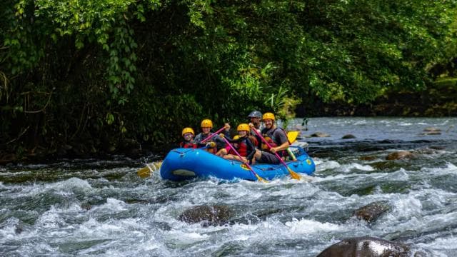 Arenal: Rafting Sarapiqui River Day Tour - Class II-III - Dominican Republic