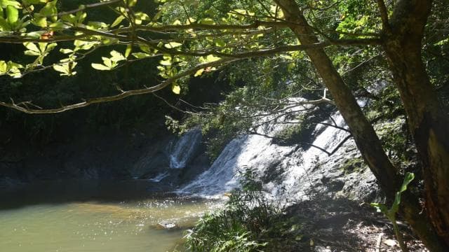 San Juan, PR: Hike to a Hidden Waterfall Adventure