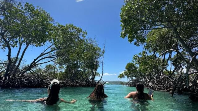 La Parguera: Half day Private Boat tour 4 hours
