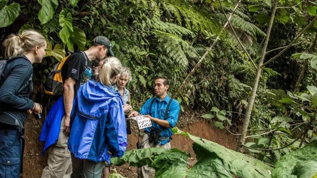 From Monteverde: Monteverde Suspension Bridge Guided Hike