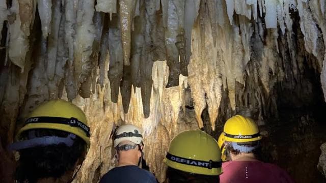 San Juan: Camuy River Canyon and Cave Tour with Pickup