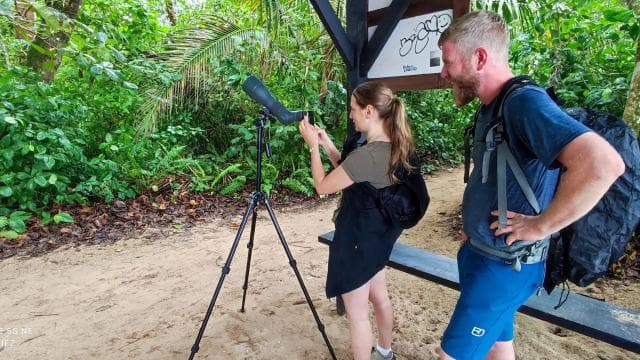 Cahuita: Hiking tour and wildlife spotting