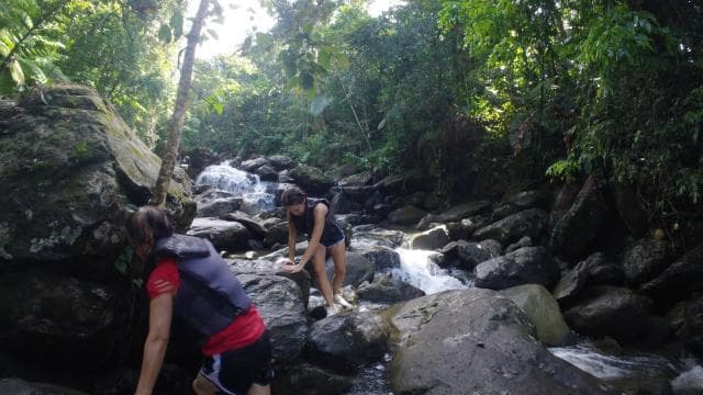 San Juan: El Yunque Waterfalls & Scenic Beach Buggy