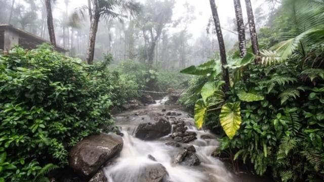 From San Juan: El Yunque National Rainforest Half-Day Tour - Photo 3 (Gallery view)