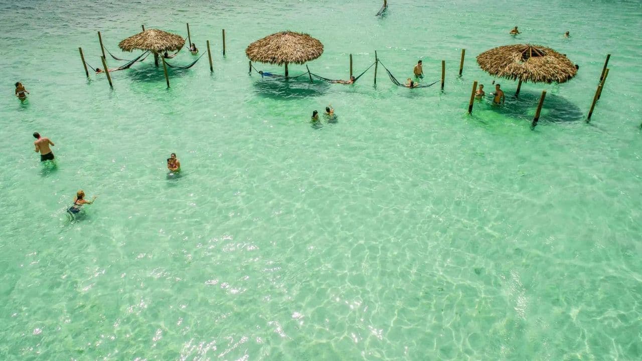 Day trip at Ocean World for Dominican Residents