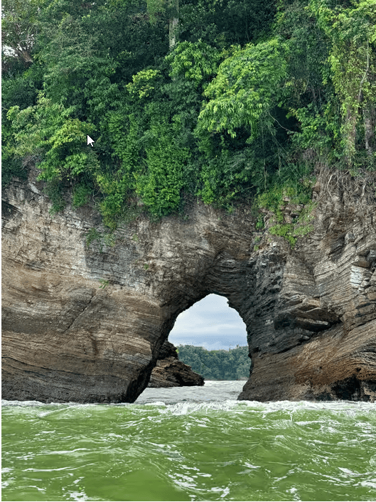 Uvita: Whale & Dolphin Watching Boat Trip w/ Drinks & Snacks - Photo 4 (Gallery view)