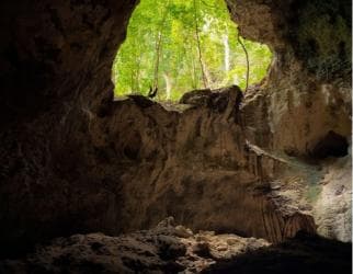 2in1: Los Haitises National Park + Yanigua Waterfall-SPA