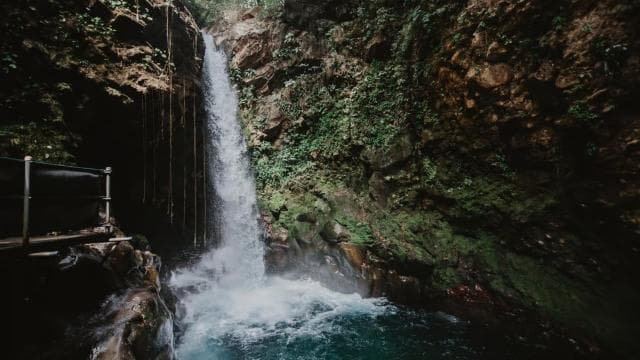 Rincón de la Vieja: One-Day Nature Tour