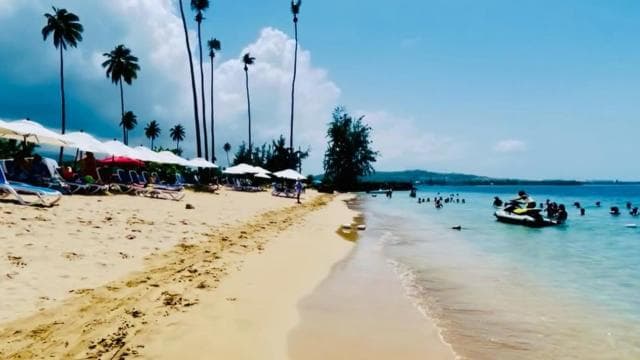 San Juan: Rainforest Waterslides & Beach Tour with Transport - Dominican Republic