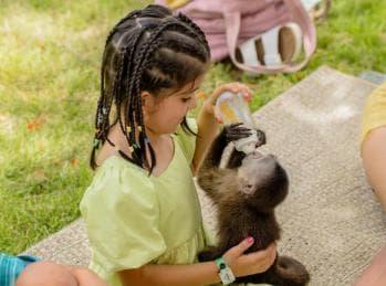 Punta Cana: Monkey Houses Private Tour