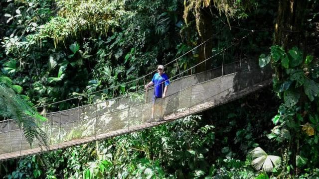 Manuel Antonio: Rainmaker Park Bridge & Waterfall Tour