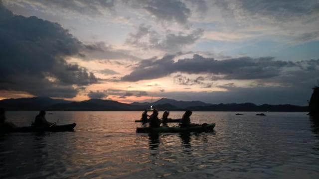 Paquera: Bioluminescent Kayak Tour Costa Rica - Photo 4 (Gallery view)