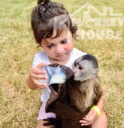 Monkey House VIP – Your Exclusive Punta Cana Experience