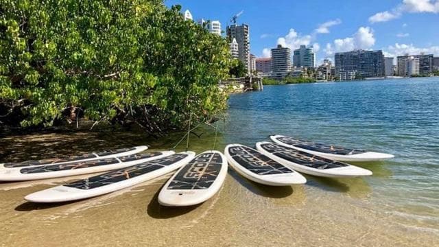 Condado: Paddleboard Rental