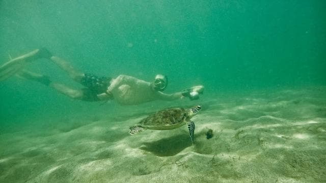 San Juan: Jet Snorkeling Adventure with Sea Turtle Spotting