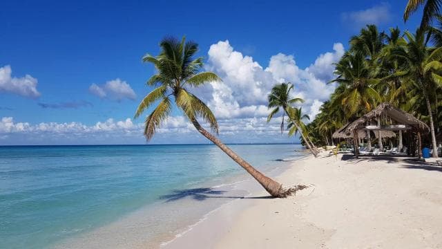 Boca Chica : excursion d'une journée sur l'île Saona avec promenade en catamaran - Photo 5 (Gallery view)