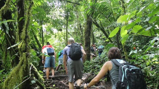 From Fortuna: 2 Day Hike to Monteverde with Hotel Transfer