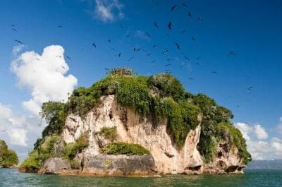 Prywatnie: Los Haitises i Cayo Levantado z Samany - Photo 3 (Gallery view)
